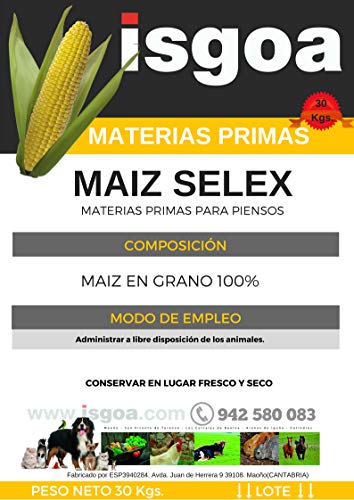 MAIZ para Gallinas, Pollos.Saco 30 Kg Isgoa