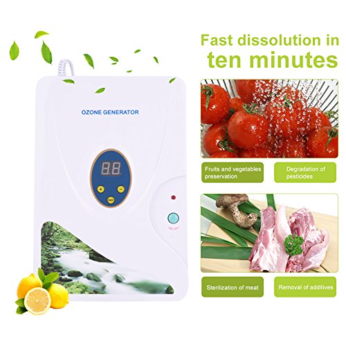 Máquina de Desintoxicación de Ozono Generador Ozono Ionizador para Frutas Verduras Carne Uso Hogar Cocina con Temporizador Digital 1-30 Minutos Socialme-EU