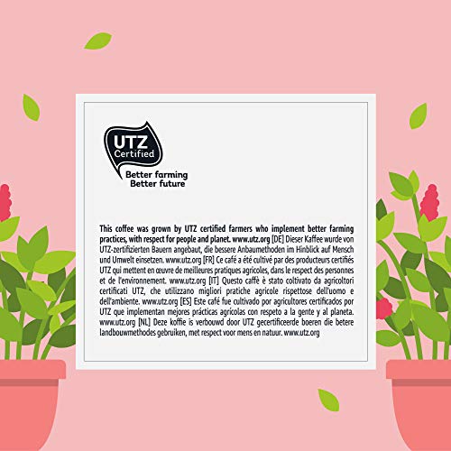 Marca Amazon - Happy Belly Espresso Café UTZ molido de tueste natural en cápsulas (compostables) compatibles con Nespresso, 30 cápsulas (3x10)