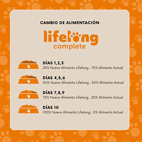 Marca Amazon - Lifelong Alimento completo para gatos adultos - Selección mixta en salsa, 2,4 kg (24 bolsitas x 100g)