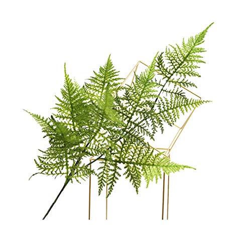 Miguor Decoración Artificial Diversos Tipos de Hojas de Helecho plástico Pteridofytes Hojas Verde Plantas hogar Oficina decoración de Mesa Hermosa el Medio Ambiente, Paquete de 1