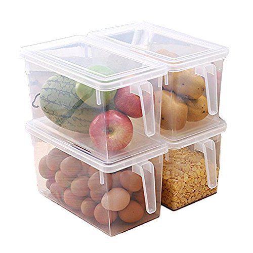 MineSpace - Juego de 4 cajas de almacenamiento de plástico con asa cuadrada para almacenamiento de alimentos con tapas para nevera, armario de nevera o escritorio (tamaño grande)