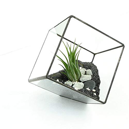 MINGZE Terrario de Cristal Casa de Flor, de Vidrio Geométrica Cristal Adorno Hogareño para Decoración Sobremesa para Casa Oficina Balcón Patio y Hotel (15 * 15CM, Negro Lata)