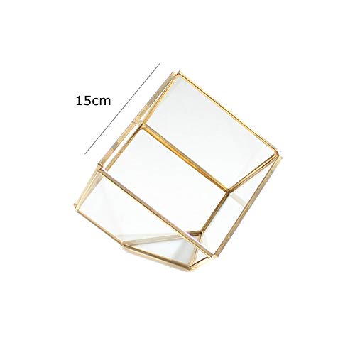 MINGZE Terrario de Cristal Casa de Flor, de Vidrio Geométrica Cristal Adorno Hogareño para Decoración Sobremesa para Casa Oficina Balcón Patio y Hotel (15 * 15CM, Negro Lata)