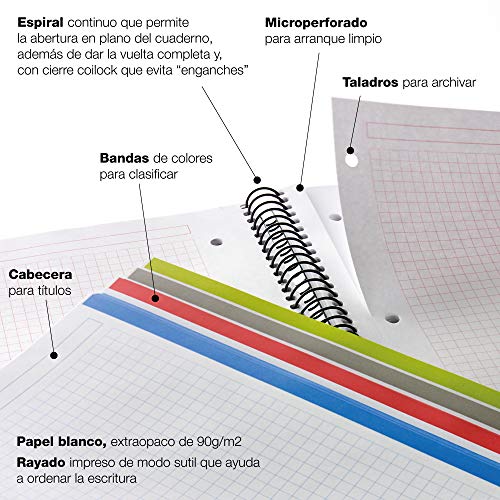 Miquelrius 42006 - Cuaderno A4, 200 hojas (franjas de 8 colores), cuadrícula 5 mm, tapa de polipropileno color negro