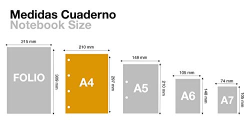 MIQUELRIUS - Bloc Recambio 100% Reciclado Hojas encoladas - 4 franjas de colores, 100 Hojas cuadriculadas de 5mm, Tamaño A4, Papel 80 g, Con 4 Taladros