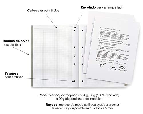 MIQUELRIUS - Bloc Recambio 100% Reciclado Hojas encoladas - 4 franjas de colores, 100 Hojas cuadriculadas de 5mm, Tamaño A4, Papel 80 g, Con 4 Taladros