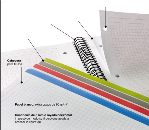 MIQUELRIUS - Cuaderno Espiral Microperforado, Cubierta Polipropileno Opaco, Tamaño A6 105 x 148 mm, Sin Taladros, 140 Hojas de 70 g/m² y 4 Franjas de Color, Cuadrícula de 5 mm, Color Negro