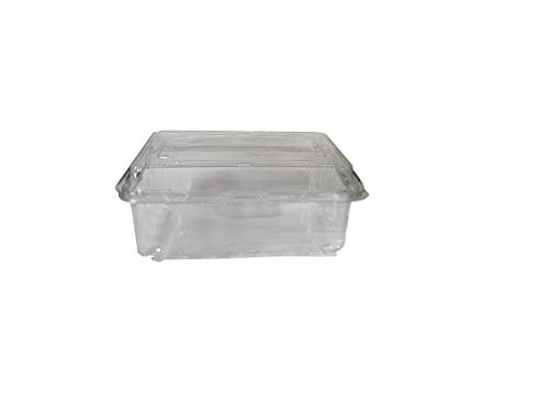 Movilideas - 50 Unidades de Envases de Almacenamiento de Ensalada de 1 Litro con bisagra Redondas Comida rápida Caja Transparente desechable Tapas de plástico Almacenamiento