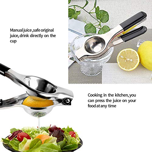 mreechan exprimidor Zumo Manual,Exprimidor de Limones,Mango ergonómico y raspador de Limones,Exprimidor Manual de Acero Inoxidable, Prensa de Mano Jugo de Clip Fruta para Limón y Naranjas ect