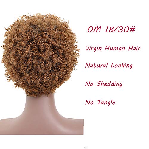 Ms Taj Corto Afro Rizado Rizado Pelucas de cabello humano para mujeres negras Virgen brasileña Corto Rizado Afro Pelucas Cabello humano Densidad 150% Sin procesar corto rizado pelucas para mujeres