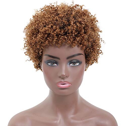 Ms Taj Corto Afro Rizado Rizado Pelucas de cabello humano para mujeres negras Virgen brasileña Corto Rizado Afro Pelucas Cabello humano Densidad 150% Sin procesar corto rizado pelucas para mujeres