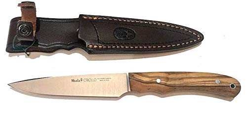 Muela Cuchillo criollo CRIOLLO-14.OL con Hoja de Acero Inoxidable MoVa de 13,5 cm y empuñadura de Madera de Olivo para Caza, Pesca, Supervivencia y Bushcraft + Portabotellas de Regalo