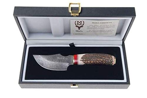 Muela Cuchillo de lujo AFRICA-9DAM hoja de acero damasco de 9 cm y empuñadura de asta de ciervo para Caza, Pesca, Supervivencia y Bushcraft Realizado en Ciudad Real + Portabotellas de regalo