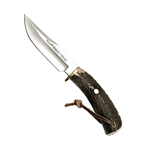 Muela Cuchillo de lujo BRACO-11A hoja de acero MoVa de 11 cm y empuñadura de asta de ciervo para Caza, Pesca, Supervivencia y Bushcraft Realizado en Ciudad Real + Portabotellas de regalo