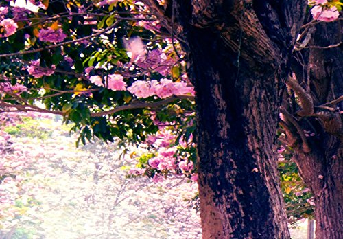 murando Cuadro en Lienzo Bosque Flores 120x40 cm 1 Parte impresión en Material Tejido no Tejido Cuadro de Pared impresión artística fotografía gráfica decoración Naturaleza Paisaje c-A-0052-b-d