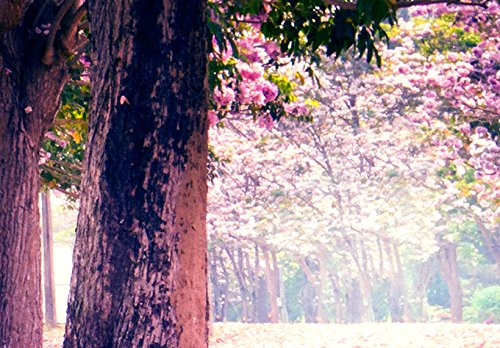 murando Cuadro en Lienzo Bosque Flores 120x40 cm 1 Parte impresión en Material Tejido no Tejido Cuadro de Pared impresión artística fotografía gráfica decoración Naturaleza Paisaje c-A-0052-b-d