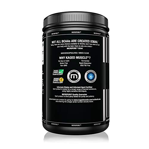 Músculo de Kaged - BCAA 2: 1: 1 grado Unflavored de Fermaceutical - 14,1 oz.