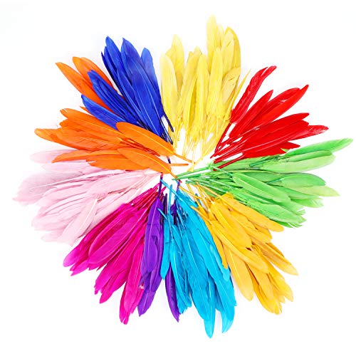 Mwoot 240 Piezas Plumas De Colors 10-15cm, Plumas Natural Para Manualidades, Bodas, Casa, Decoración De Fiestas