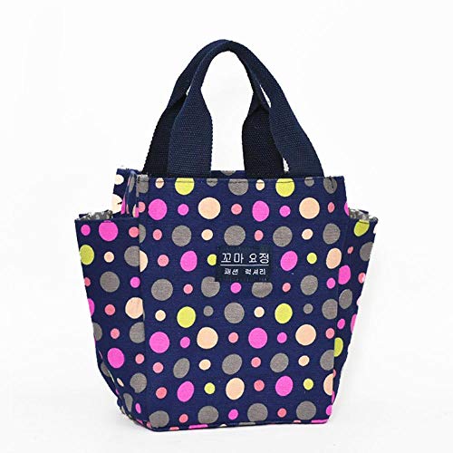 NA Lady Mujeres Bolso Poliéster Señoras Bolsos de impresión Bolsa de Almuerzo portátil Bolsa Caja de Almacenamiento Bolsa de Picnic, Azul Cielo