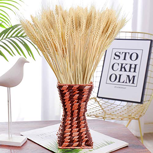 NAHUAA100PCS Flores Secas Ramo de Flores Ramo de Trigo Trigo Seco Natural para Decoración Dormidorio Salón Hogar Oficina Boda Cocina Fiestas Espigas de Trigo Blanca