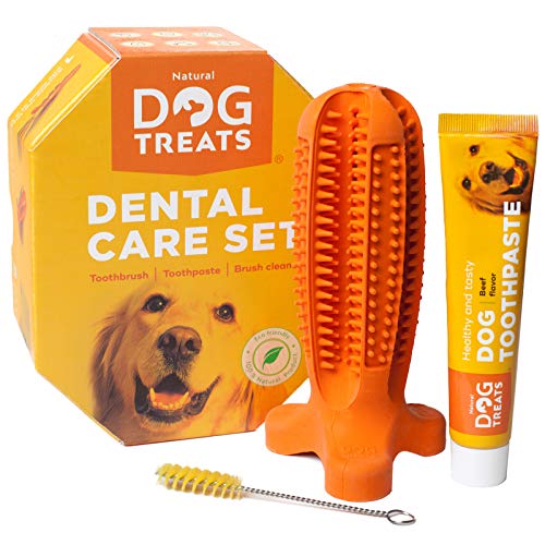 Natural Dog Treats Cepillo de Dientes y Dentífrico Set para Perros, 100% Natural Caucho Dog Brushing Stick, Juguete para Masticar, Tall Large