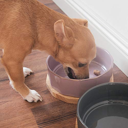 Navaris Comedero y Bebedero para Mascotas - 2X Bol Elevado para Perro Cachorro Gato - Boles de cerámica con Base de Madera para Mascota - Lila y Gris