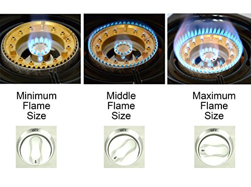 NJ NGB-300 Estufa de gas 3 quemadores Portátil Acero inoxidable Piezo Wok Camping GLP para exteriores