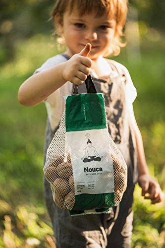 Nueces con cáscara - 3 kg (Caja con 6 bolsas de 500g) - Producto 100% de origen español