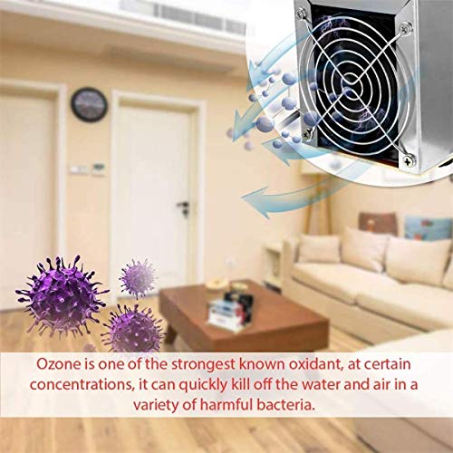NZNDONE Air Purifier, 220V 10g with Timer Function Ozone Generator, Ozonizer with Time Switch/Sterilizer/Air Purifier Industry/Home Air purifiers