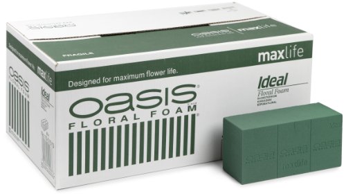 Oasis Cubo de Espuma para Flores (Caja Contiene 20 Paquetes)