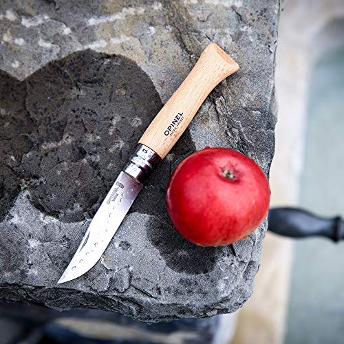 Opinel 1254 - Cuchillo Tradicional de Acero Inoxidable, nĂşmero 9