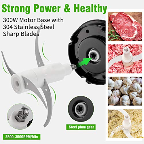 Oxford Street Picadora Eléctrica de Alimentos 300W,Picadora de Carne Motor Fuerte 2 litros,Picadora Batidora Eléctrica de Cocina 4 Cuchillas,2 Niveles de Velocidad para Verduras,Carne,Especias