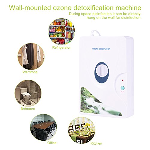 Ozonizador de Agua, Generador de Ozono Portátil con Temporizador Digital + Disolución Rápida + Desinfecta Agua Verduras Frutas, para Cocina Lavandería Baño Armario Refrigerador Acuario Jardín