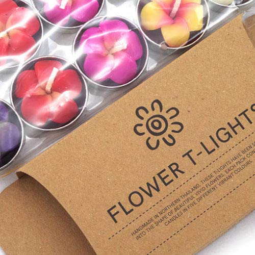 Pack de 10 velas con forma de flor frangipani