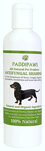 PADDIPAWS Champú para Perros 100% Natural antifúngico y Antibacteriano – Infecciones de levadura, tiña, Dermatitis, pioderma – Ingredientes Naturales Seguros – sin parabenos y SLS