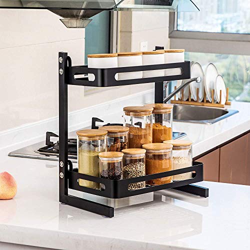 PAKASEPT Especiero de cocina, Soportes para Botes de Especias, Organizador Especias Acero inoxidable, Estanterías metálicas para especias con 2 estantes - desmontable Soporte Especias Estantería