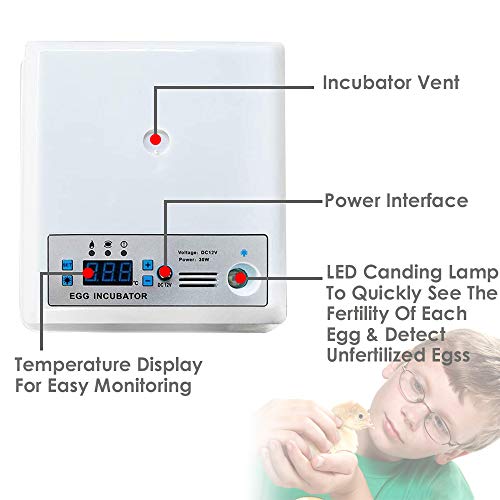 PAKASEPT Incubadora Digital de Huevos Incubadora para Múltiples Tamaños de Huevos 16 Huevos Uso Doméstico, Control de Temperatura y Giro Automático