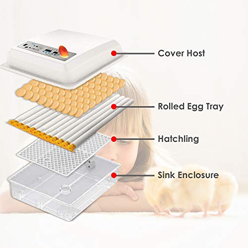 PAKASEPT Incubadora Digital de Huevos Incubadora para Múltiples Tamaños de Huevos 16 Huevos Uso Doméstico, Control de Temperatura y Giro Automático