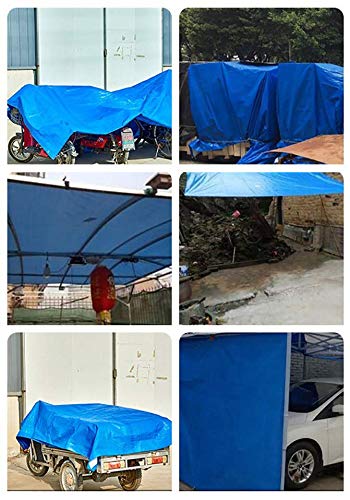 PAMEX - Toldo reforzado 90 gramos (3x4m, Azul)