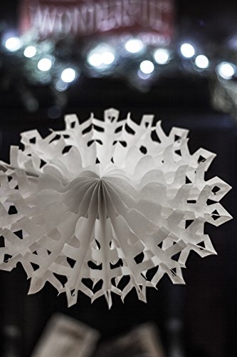 Papel blanco tradicional de los copos de nieve de Navidad - Lote de 12
