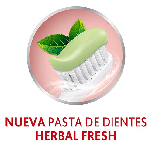 Parodontax Original - Pasta de Dientes que Ayuda A Detener y Prevenir El Sangrado de Encías, Sabor Menta y Jengibre - Pack de 3 x 75 ml