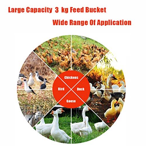 Patos Aves Alimentador 3 Kg De Pollo Codornices, Máquina De Alimentación Granja Avícola Alimentador Herramienta Automática De Polluelos/Pollos/Patos Plástico Portable Automática del Cucharón