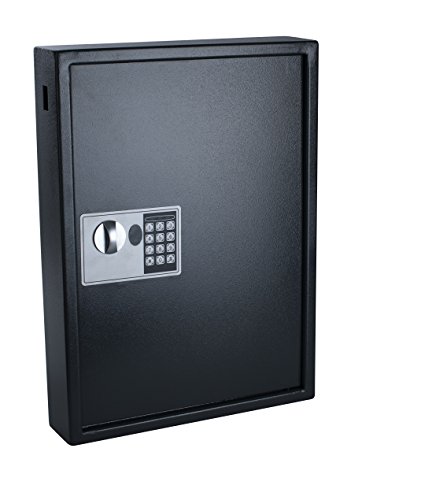 Pavo 8033911 - Caja para llaves de alta seguridad (capacidad para hasta 50 unidades), gris