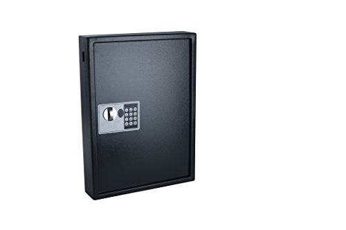 Pavo 8033911 - Caja para llaves de alta seguridad (capacidad para hasta 50 unidades), gris