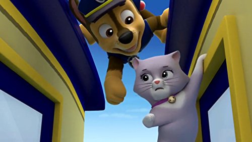 PAW PATROL 01: LA PATRULLA CANINA [DVD]