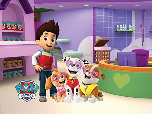 Paw Patrol Season 1