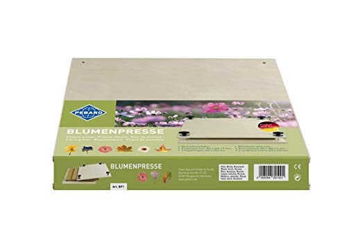 Pebaro BP1 Prensa para Flores de Madera contrachapada de Abedul con 4 Capas de cartón, imprimible