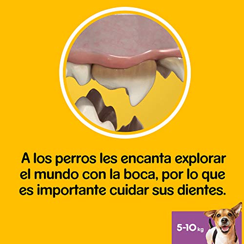 Pedigree Pack de Dentastix de uso Diario para la Limpieza Dental de Perros Pequeños (1 Pack de 56ud)