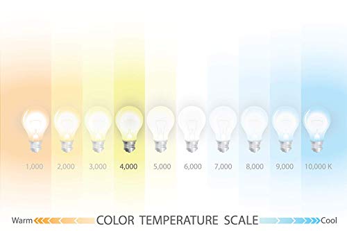 Philips Master PL-S 5 W/7 W/9 W/11 W/827/830/840/G23 luz fluorescente compacta (CFL), Blanco, G23 11 wattsW 240.00 voltsV